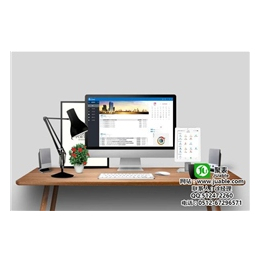 蘇州勝納軟件 專業ERP開發，助力企業智慧升級